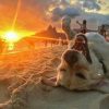 【嫌なことがあった日は】ブラジルのビーチにいる最高に幸せな犬の写真を見る