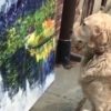 【海外の反応】絵画を鑑賞する犬