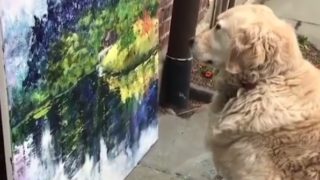 【海外の反応】絵画を鑑賞する犬