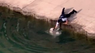 【海外の反応】シカゴ警察「見習い」警官、溺れる犬を救助する