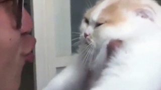 【海外の反応】「お願いだからキスは止めて！」思わず猫に同情したくなる動画