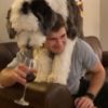 【海外の反応】酒好きな犬と飼い主によるワイン争奪戦