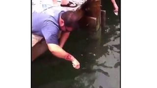 【海外の反応】フロリダの観光地で「自分の腕をエサにして」巨大魚を釣り上げる男
