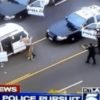 【海外の反応】LA発のニュース映像で知る「勇敢な警察犬が人命を救う理由」