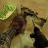 【海外の反応】ロシアの子猫、とんでもない場所から救出される！