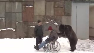 【海外の反応】重傷を負って入院していた調教師、クマに付き添われて退院する