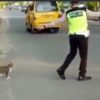 【海外の反応】インドネシアの交通警官、野良猫の道路横断を助ける
