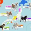 【海外の反応】日本犬マップを見た海外の反応