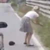 【海外の反応】路上のハリネズミを救うナイスな女性