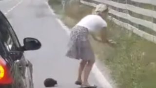 【海外の反応】路上のハリネズミを救うナイスな女性