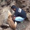 【海外の反応】もらい泣き注意!!「生き埋めになった子犬たちを救おうとして、絶望的な現場で救助隊を導く母犬」