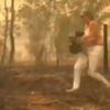 大規模火災に巻き込まれたコアラを救う女性